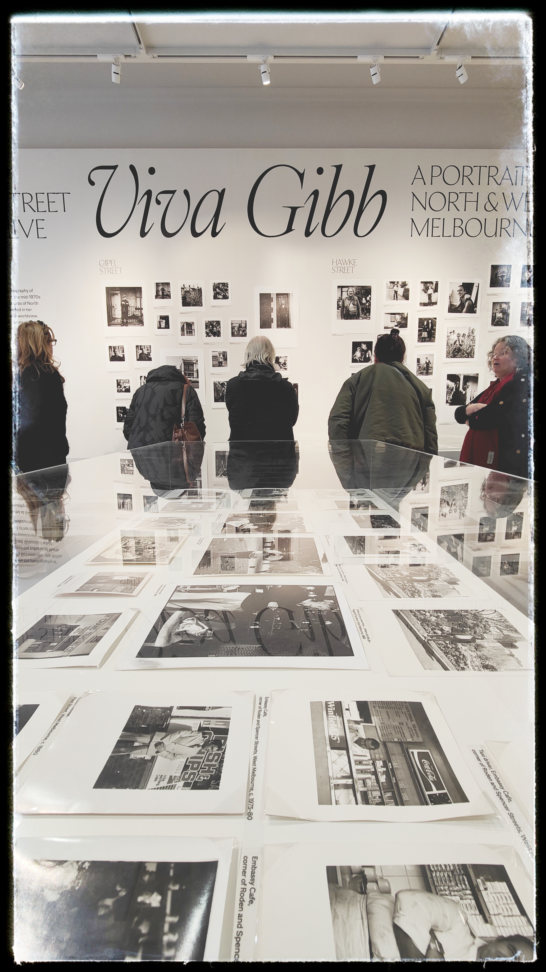 Viva Gibb collection